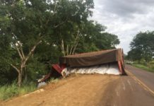 Carreta bitrem com osso triturado tomba em curva, atinge carro e para em barranco na MS-080