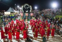 Carnaval de Campo Grande terá festa na avenida, blocos e show do SPC