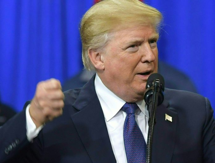 trump-louco
