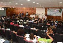 Fruto símbolo do Estado, Guavira é tema de debate entre especialistas na UFMS