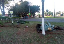 Motorista fica ferido após derrubar placa e árvores em canteiro de Campo Grande