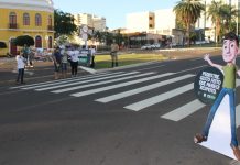 Detran-MS comemora o Dia Nacional do Pedestre com queda de quase 40% no número de atropelamentos na Capital
