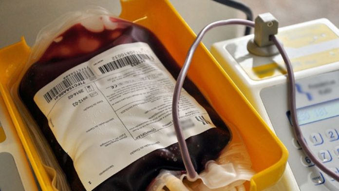 hemocentro-campanha-doacao-de-sangue-foto-kleide-teixeira-01