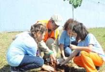 Semana da árvore será comemorada com eventos e plantios de mudas de árvores
