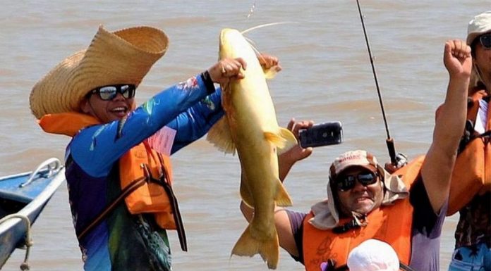 murtinho_pesca-capa-1024x567