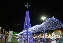Show sertanejo de Davi Araújo será o destaque desta quarta-feira na Cidade do Natal