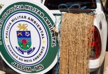Homem com tornozeleira eletrônica é preso pela terceira vez por pesca predatória e recebe multa de R$ 5 mil em MS