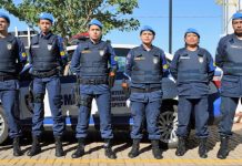 Agentes da Guarda Civil serão capacitados para atuarem em ocorrências de maus tratos contra animais