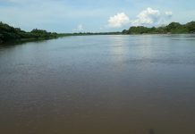 Homem pula de embarcação, se afoga e é achado quase 17 horas após corpo emergir no Rio Paraguai, diz bombeiro