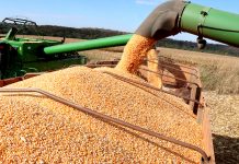 MS deve ter o 3º maior crescimento do país em 2020