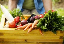 Membros do Conselho Estadual de Segurança Alimentar e Nutricional de MS são reconduzidos para mandato até 2022