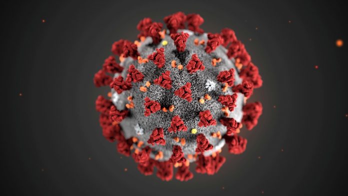 coronavirus-4-