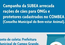 Projeto Alimente um AUAU ajuda cães no período de pandemia