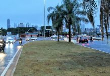 Além de Semáforos, Rotatória da Joaquim Murtinho/Ceará ganha novo paisagismo