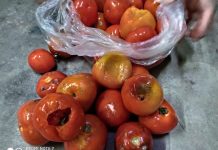 Legumes com larvas e mais de 58kg de produtos descartados em supermercado na Capital