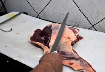 Arroba do boi é valorizada em 47% e carne bovina fica mais cara ao consumidor