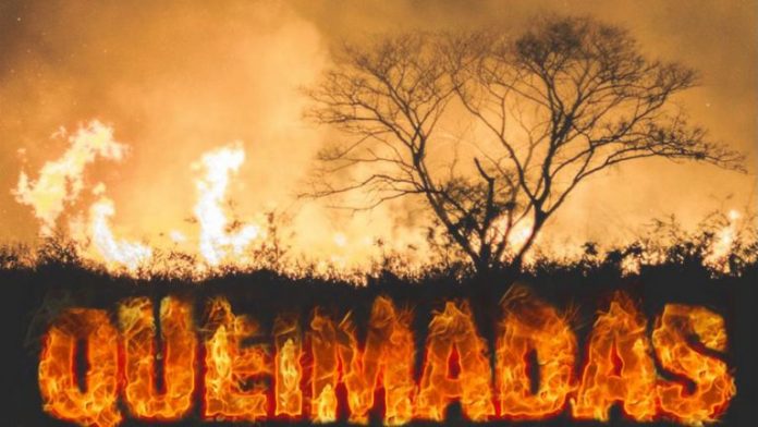 Queimadas1-768x432