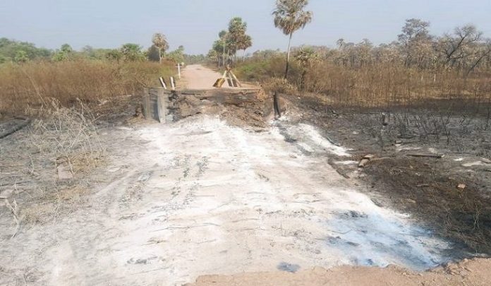 Ponte-destruída-pela-queimada-no-Pantanal-768x425-730x425