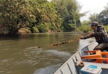 PMA autua 45 pessoas, aplica R$ 207 mil em multas e apreende 106 kg de pescado na operação Ictiofauna