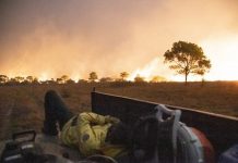 Focos de incêndio começam a ser extintos e equipes iniciam rescaldo no Pantanal