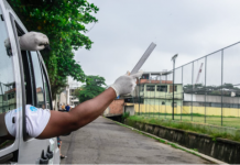 Soltura de mosquitos com bactéria que impede dengue deve ser feita em dezembro