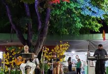 CARDÁPIO SERESTEIRO TEM EDIÇÃO ESPECIAL EM ALUSÃO AO NATAL