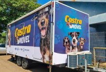 Unidade Móvel vai levar castração de cães a bairros com maior vulnerabilidade social