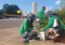 CCZ INICIA TRABALHO DE PREVENÇÃO E CONTROLE DE ROEDORES EM BUEIROS E VIAS PÚBLICAS DA CAPITAL
