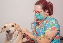 CREDENCIAMENTO DAS CLÍNICAS VETERINÁRIAS PARA CASTRAÇÃO DE ANIMAIS ACONTECE ATÉ O DIA 16