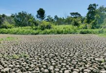 Estiagem leva maior rio do Pantanal a ficar perto do índice mais baixo já registrado