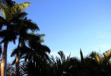 Segunda tem previsão de tempo estável, com aumento da temperatura em todas as regiões do Estado