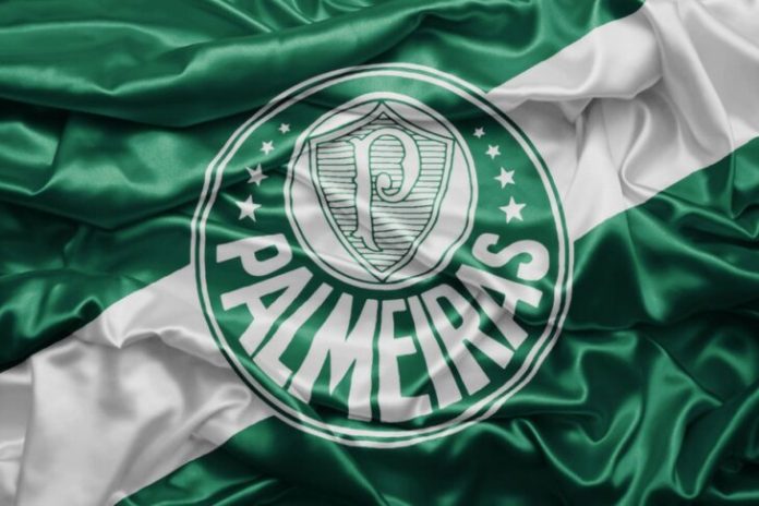 palmeiras-bandeira-resumo-certo-729x486