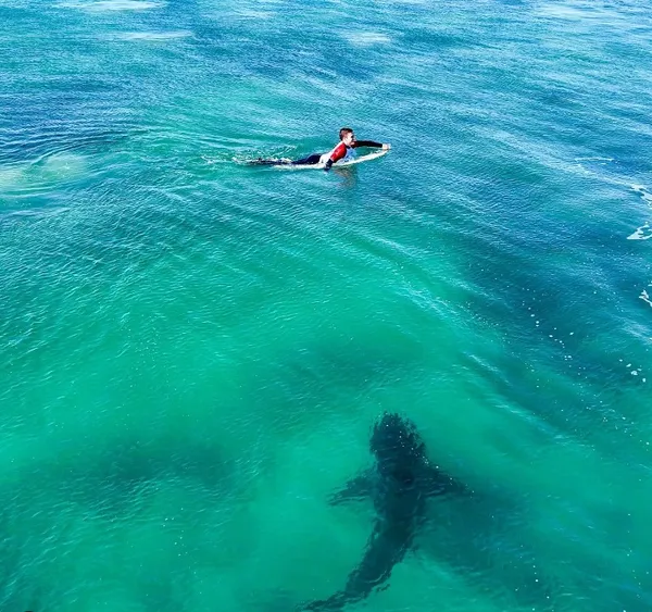 tubaraao-jbay