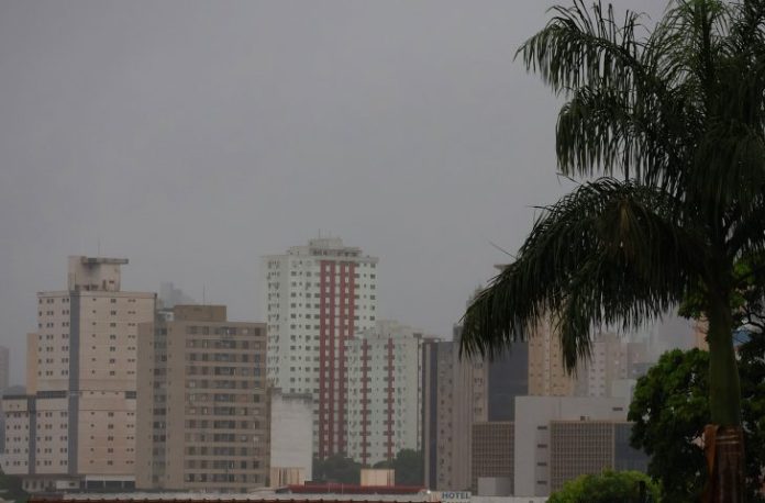 IMG_0389-730x480