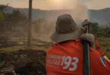 Incêndios são controlados no Pantanal e equipes continuam trabalho de rescaldo e monitoramento da região