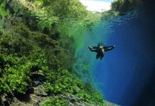 MS representa o Brasil como destino de ecoturismo em evento internacional no Equador