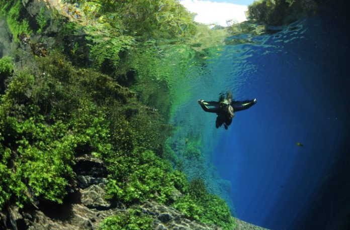Lagoa-Misteriosa_jardim_prefeitura-730x480