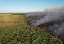 Bombeiros de MS atuam no combate a dois incêndios florestais, no Pantanal e em Naviraí