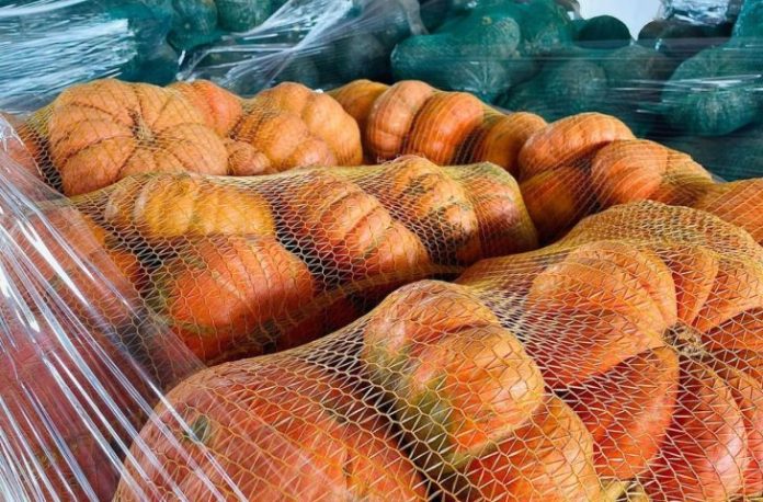 LEGUMES-IMAGENS-2-730x480