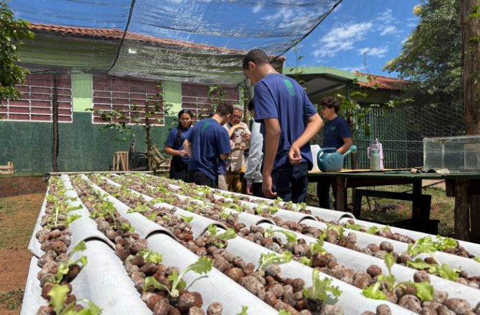 Horta-Hidroponica-Escola-Estadual-Foto-Cid-Nogueira-SED-7-730x480