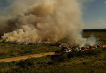 Para conservar e proteger biomas, Governo de MS realiza técnica de queima prescrita em parque estadual