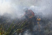 Decreto de emergência ambiental reforça preparação do Governo de MS para enfrentamento a incêndios florestais