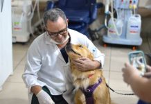 Alfredinho e outros cães espalham alegria durante visita ao Hospital Cassems de Dourados
