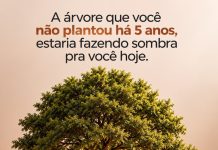 O que você começar a construir hoje pode transformar completamente a sua realidade em um futuro próximo.